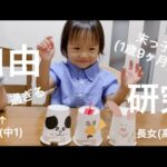 【歳の差姉妹】自由研究に初挑戦した1歳児(紙コップ.トコトコ人形)