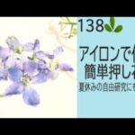 【押し花の作り方】ーアイロンで作る簡単押し花！夏休みの自由研究にもおすすめ