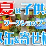 簡単♪親子寄せ植え～夏の自由研究ワークショップ風＾＾