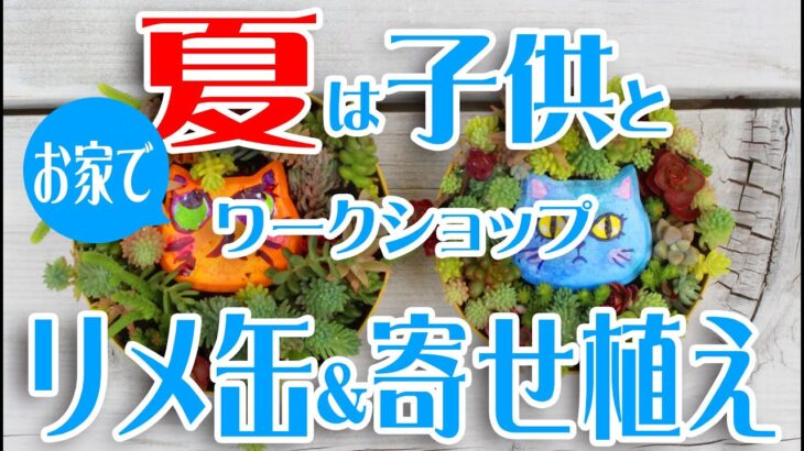 簡単♪親子寄せ植え～夏の自由研究ワークショップ風＾＾