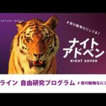 【オンライン自由研究プログラム #夜の動物なにしてる？】