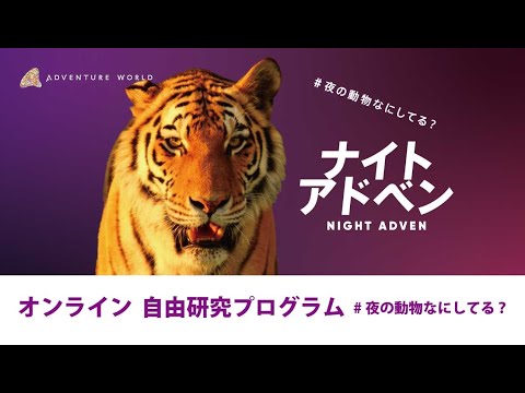 【オンライン自由研究プログラム #夜の動物なにしてる？】