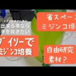 ダイソーで部品が揃う ミジンコ培養装置 100均で工作 夏休みの自由研究にも♪(^ー^)ノ