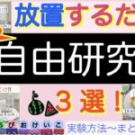 【自由研究おすすめ3選】簡単なのにインパクトあり✨