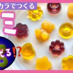 【夏休み‼︎自由研究】手作りグミを作ってみよう！（食科学・子ども）