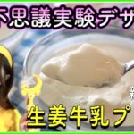 【夏休み‼︎自由研究】科学の力で生姜牛乳プリンを作ってみよう！