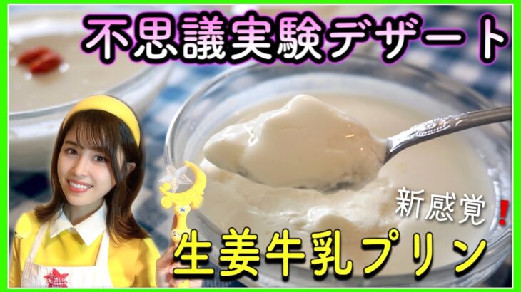 【夏休み‼︎自由研究】科学の力で生姜牛乳プリンを作ってみよう！