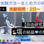 【元家庭教師＆塾講師ママによる自由研究】塩の結晶をいろんなパターンで作ろう🧊✨