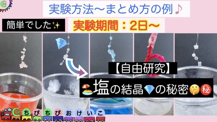 【元家庭教師＆塾講師ママによる自由研究】塩の結晶をいろんなパターンで作ろう🧊✨