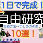 元家庭教師ママによる【自由研究おすすめ10選🍉】簡単でも立派な自由研究になる実験をご紹介🤗