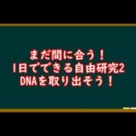 一日でできる自由研究2　DNAを取り出そう