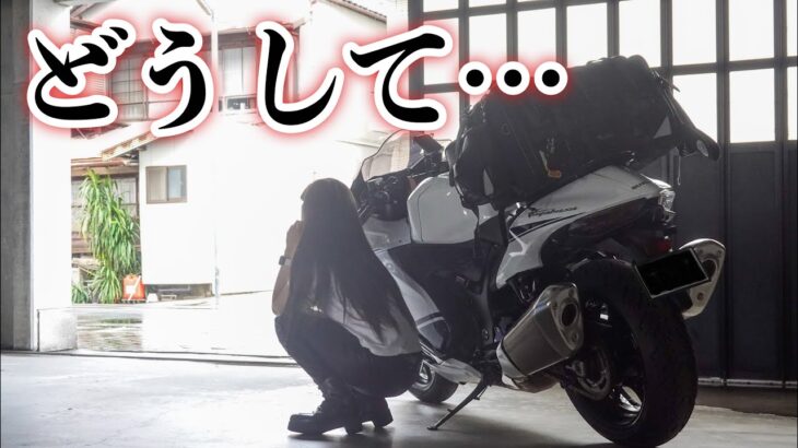 8耐帰りに全てが上手く行かない静岡発ツーリング｜suzuki hayabusa gsx1300r【モトブログ】