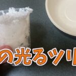 【100均自由研究】少しずつ積もる雪の光るツリー【実験⑤】