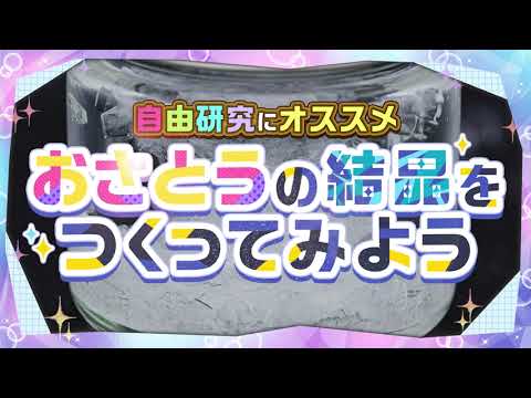 【小学生必見】自由研究でお砂糖の結晶作りにチャレンジ！