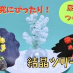 【自由研究にぴったり！】尿素の結晶で花を咲かせよう！『結晶ツリー』#自由研究 #尿素結晶