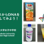 【自由研究フェスタ2023】ジュースからDNAを取り出してみよう！ 提供：文京学院大学女子中学校