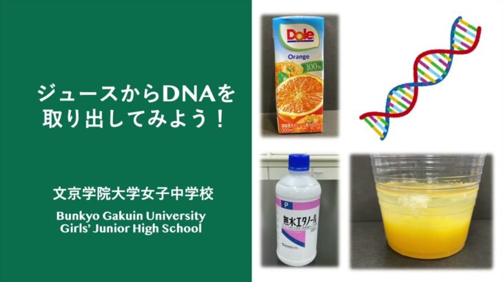 【自由研究フェスタ2023】ジュースからDNAを取り出してみよう！ 提供：文京学院大学女子中学校