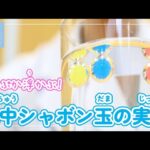 【夏休みの自由研究】ぷかぷか浮かぶ！水中シャボン玉の実験