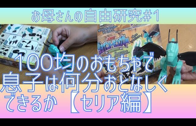 【お母さんの自由研究#1】100均のおもちゃでおしゃべり大好きな息子は何分静かにしていられるか笑＆セリア購入品。