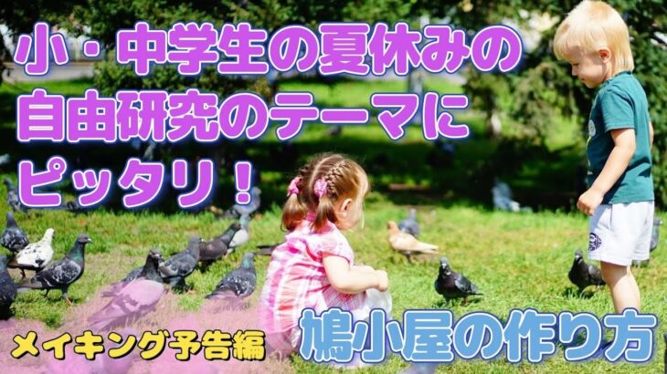 夏休みの自由研究「鳩小屋を作ろう！」（メイキング編）