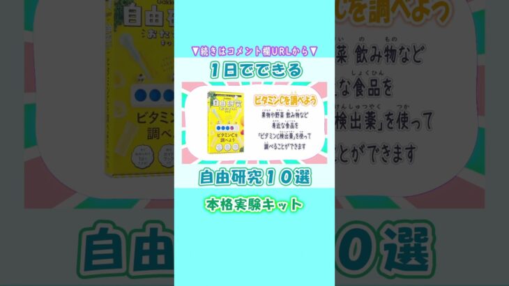 １日でできる！自由研究おたすけキット✨