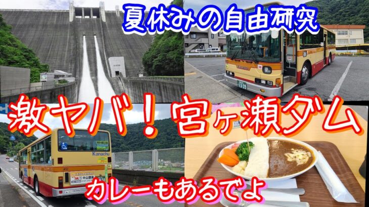 【夏休み】路線バスでいく宮ヶ瀬ダム観光放流【自由研究】