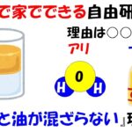 【自由研究】1日で簡単にできる水と油が混ざらない理由と混ぜる実験。諦めたらそこで試合終了ですよ。【極性】【界面活性剤】