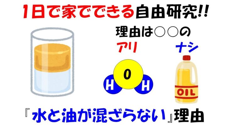 【自由研究】1日で簡単にできる水と油が混ざらない理由と混ぜる実験。諦めたらそこで試合終了ですよ。【極性】【界面活性剤】