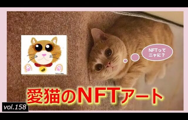 【マンチカン猫】小学生が夏休みの自由研究で愛猫のNFTアートに挑戦