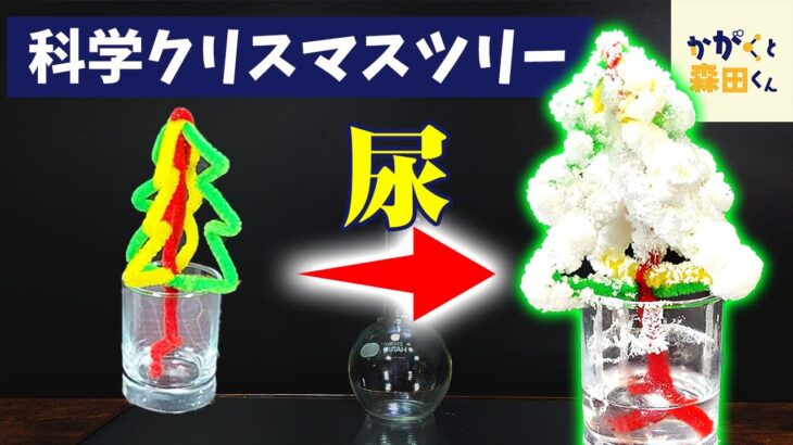 【自由研究】科学の力でクリスマスツリーをつくってみた【科学実験】【簡単工作】