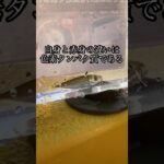 夏休みの自由研究にぴったり！長崎港でアジ釣り＆豆知識講座🎣#shorts