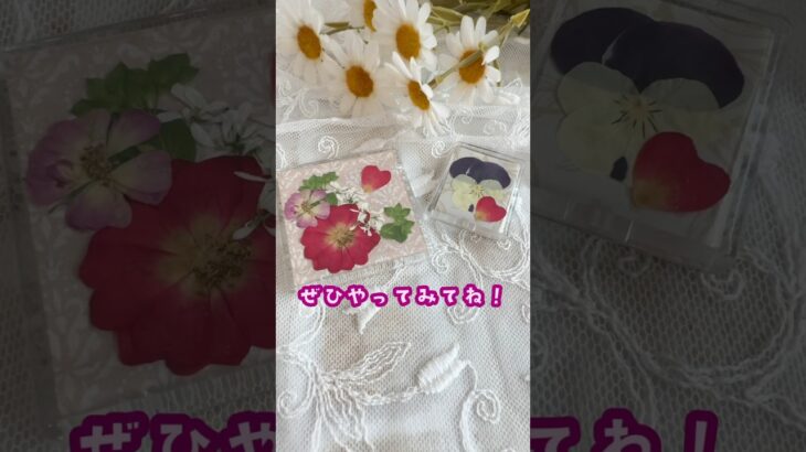 【100均の材料だけで！】簡単押し花マグネット✨#ハンドメイド #押し花 #まつぼっくり #diy #100均購入品 #ダイソー購入品 #自由研究#shorts