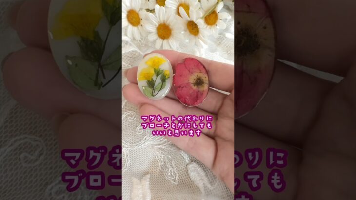 【100均材料でできる！】押し花マグネットの作り方🌼*･#ハンドメイド #押し花 #まつぼっくり #レジン #レジンハンドメイド #diy #自由研究#夏休み工作 #shorts