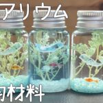 簡単🐠ミニアクアリウム🐟100円ショップの材料🏅Small aquarium🐟作り方🔮夏休み🌻自由研究📒resin✨海、夏、魚🌊UVレジン🐟インテリア💖手作り🌈ミニ水族館🐚ハーバリウム🌼くじら