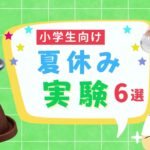 【夏休み実験】自由研究 6選 小学生 簡単