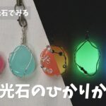 【Seriaの蓄光石でみる】蓄光石のひかりかた#100均diy #小学生の工作 #自由研究