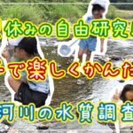 【自由研究】夏休みの宿題！小学生。親子で楽しく簡単にできる水質検査で入賞しました♪　VLOG