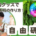 【1時間で自由研究】すぐにできる、簡単染め花作り🌸特急自由研究！