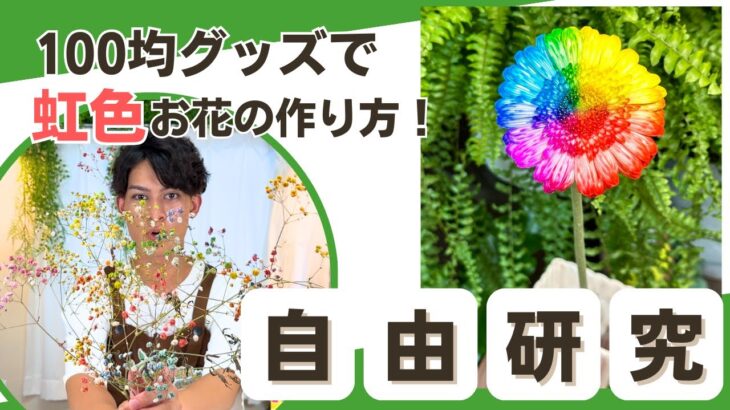 【1時間で自由研究】すぐにできる、簡単染め花作り🌸特急自由研究！