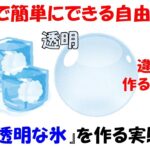 【自由研究】1日で簡単にできる!!透明な氷を作る実験。小5の娘が楽しんでやってました。【光】【反射】