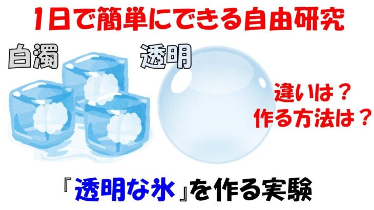 【自由研究】1日で簡単にできる!!透明な氷を作る実験。小5の娘が楽しんでやってました。【光】【反射】