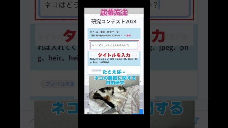 自由研究コンテストに応募しよう！#shorts