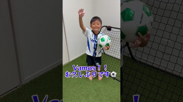 【自由研究でリバウンドネットやってみた】#サッカー#小学生サッカー#少年サッカー#サッカー少年#サッカー大好き#soccer#リバウンドネット#夏休み#自由研究