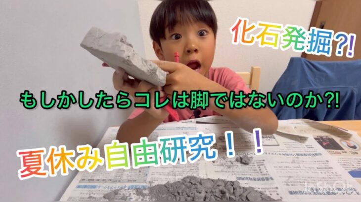 【夏休みの自由研究】悩んでいる人必見！！！小学一年生のふろく、化石発掘をやってみた！弟乱入でどうなる⁈