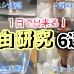 【小中学生必見】１日でできる自由研究テーマを６つご紹介します！！