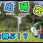 【夏休み】大学生が本気で自由研究してみた!!