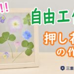 【簡単】お花で自由工作✿押し花の作り方✨