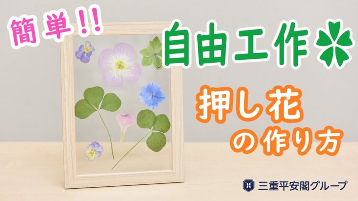 【簡単】お花で自由工作✿押し花の作り方✨