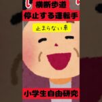 【自由研究】予想外？おばあちゃんは止まらない。いかつい兄ちゃんは止まってくれる　#shorts