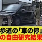 小学生の自由研究、横断歩道で止まらない車の特徴が意外すぎた…